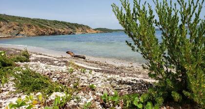 Steps from the Beach & Bio Bay Tours in Esperanza