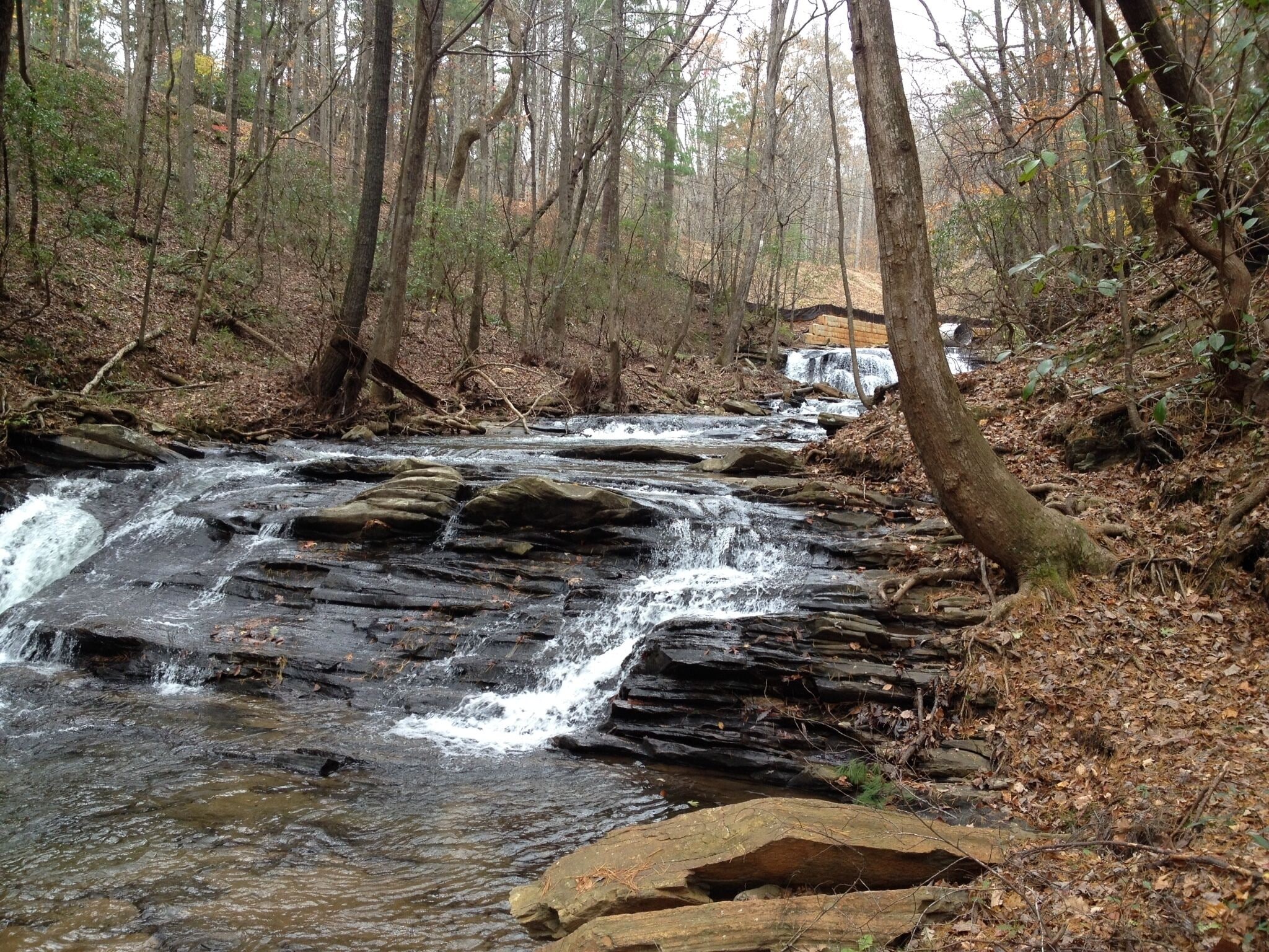 Fox Den Cottage - privately located on wooded lot with creek to rear