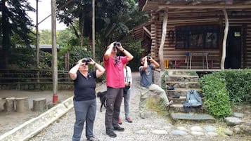 Ecotours