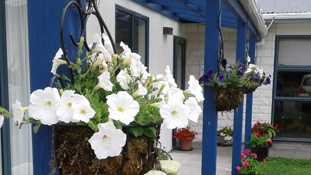 Unclassified image, 1 of 30, button - Blue Spur Bed and Breakfast (Hokitika)