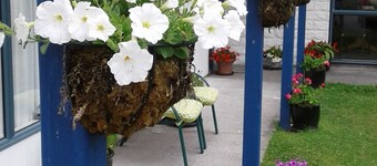 Blue Spur Bed and Breakfast