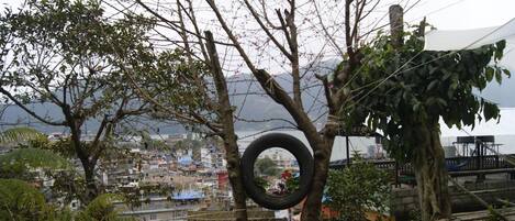 A tire hanging from a tree in a residential area with houses and a body of water in the background.