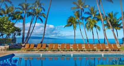 PICTURESQUE OCEAN VIEW CONDO - LAST MINUTE DEAL! BEAUTIFUL WAILEA AT ELUA 2002