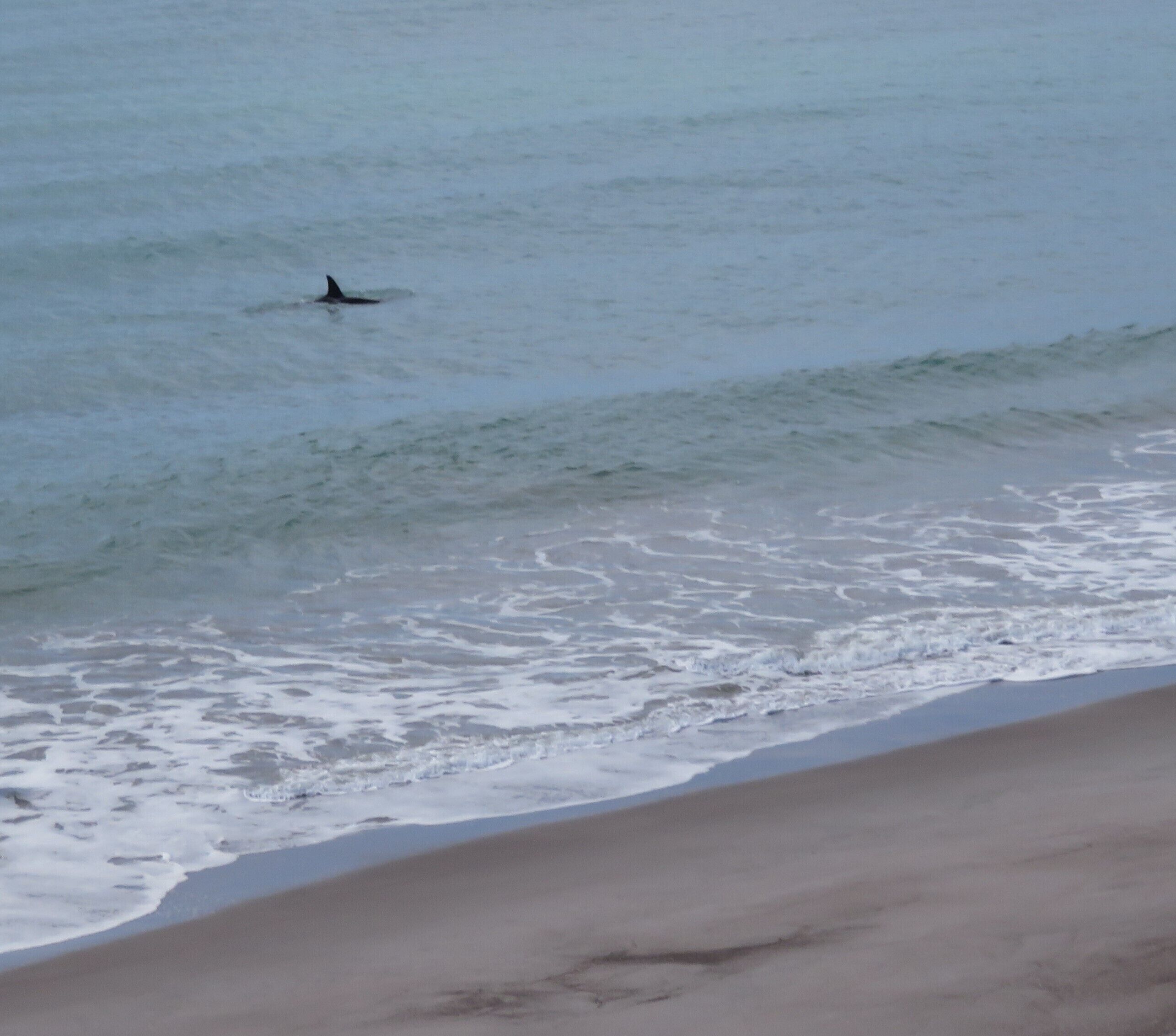 Une plage où les vagues se brisent près du rivage.