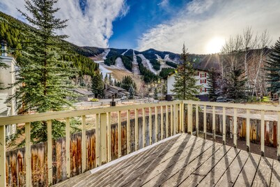 Newly-updated dog-friendly condo w/wood fireplace- walk to Warm Springs Lifts