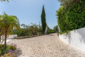 A cobblestone pathway leading to a white building with a bell tower, surrounded by lush greenery and a palm tree.