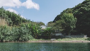 Una casa junto a un lago rodeada de abundante vegetación.