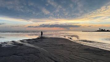 Plage à proximité, chaises longues, serviettes de plage