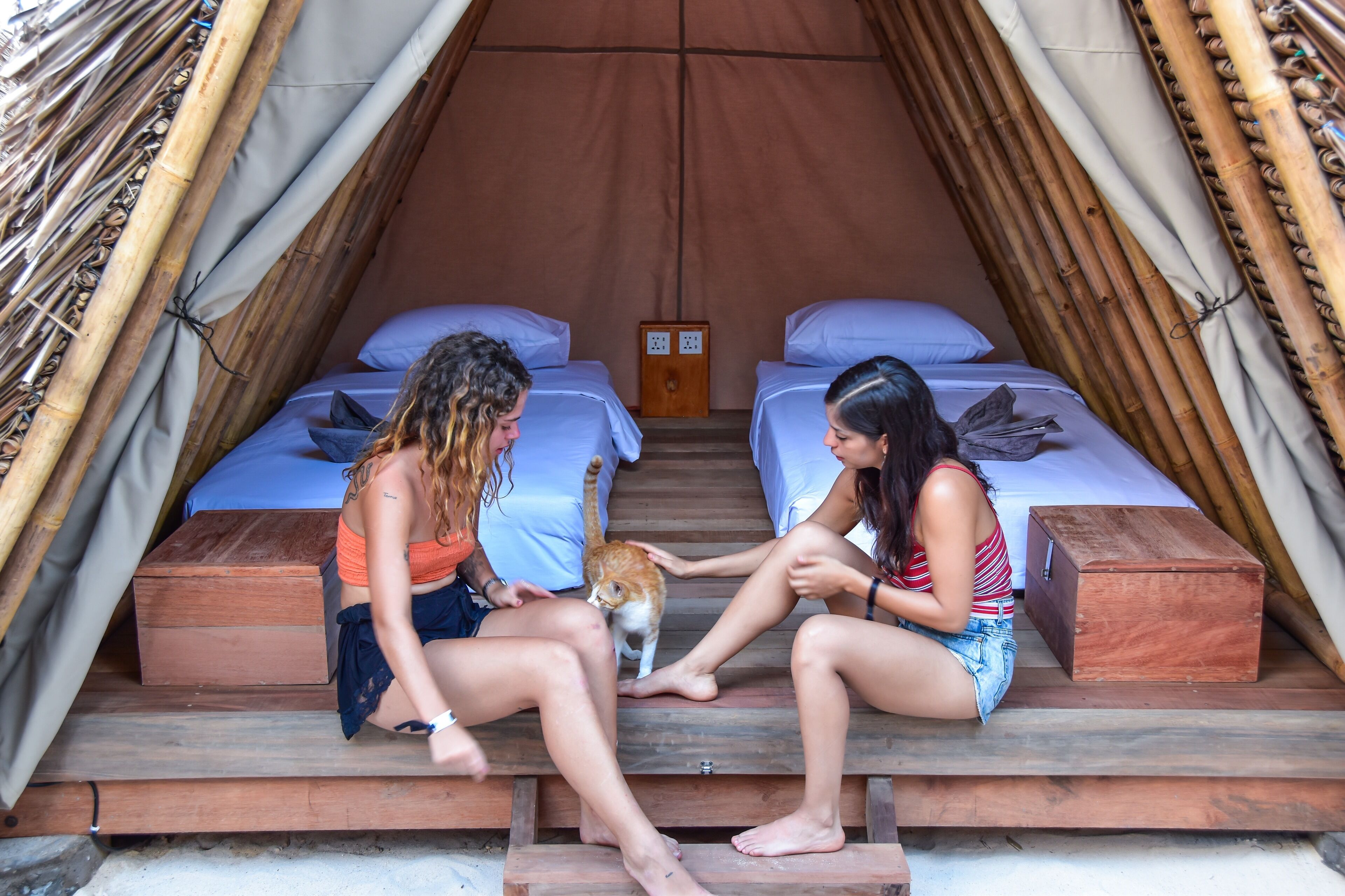 A tent with two beds, a wooden bench, and a small wooden box.