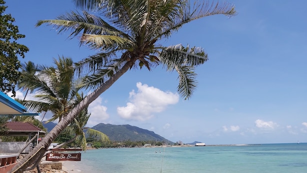 A beach with clear turquoise water, palm trees, and a sign reading "BeauBo Beach". - BeauBo Beach (Ko Pha-ngan)