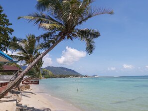 A beach with clear turquoise water, palm trees, and a sign reading "BeauBo Beach".