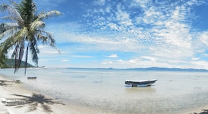 A beach with a boat anchored near the shore, palm trees, and a clear sky.