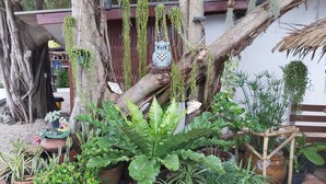 A garden with various potted plants, a wooden structure, and a large tree trunk. - BeauBo Beach (Ko Pha-ngan)