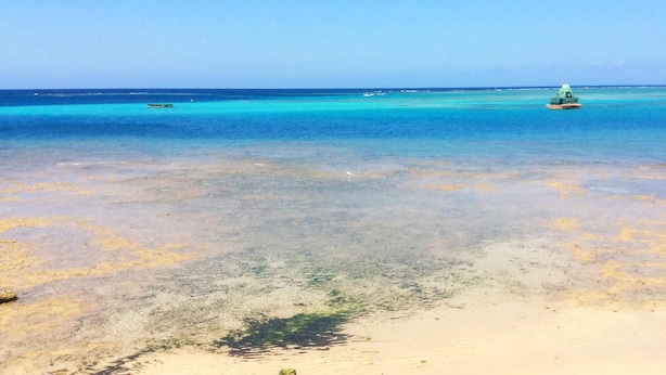 Una playa con aguas turquesas cristalinas, una orilla arenosa y un barco a lo lejos.
