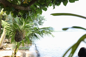 Beach bar - Local Beach Phu Quoc (Phu Quoc)