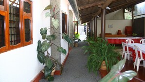 Un estrecho pasillo con techo de madera, plantas en macetas y un comedor con sillas blancas y mantel rojo.