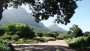Uma estrada pavimentada ladeada por vegetação exuberante e árvores, conduzindo a uma paisagem montanhosa.