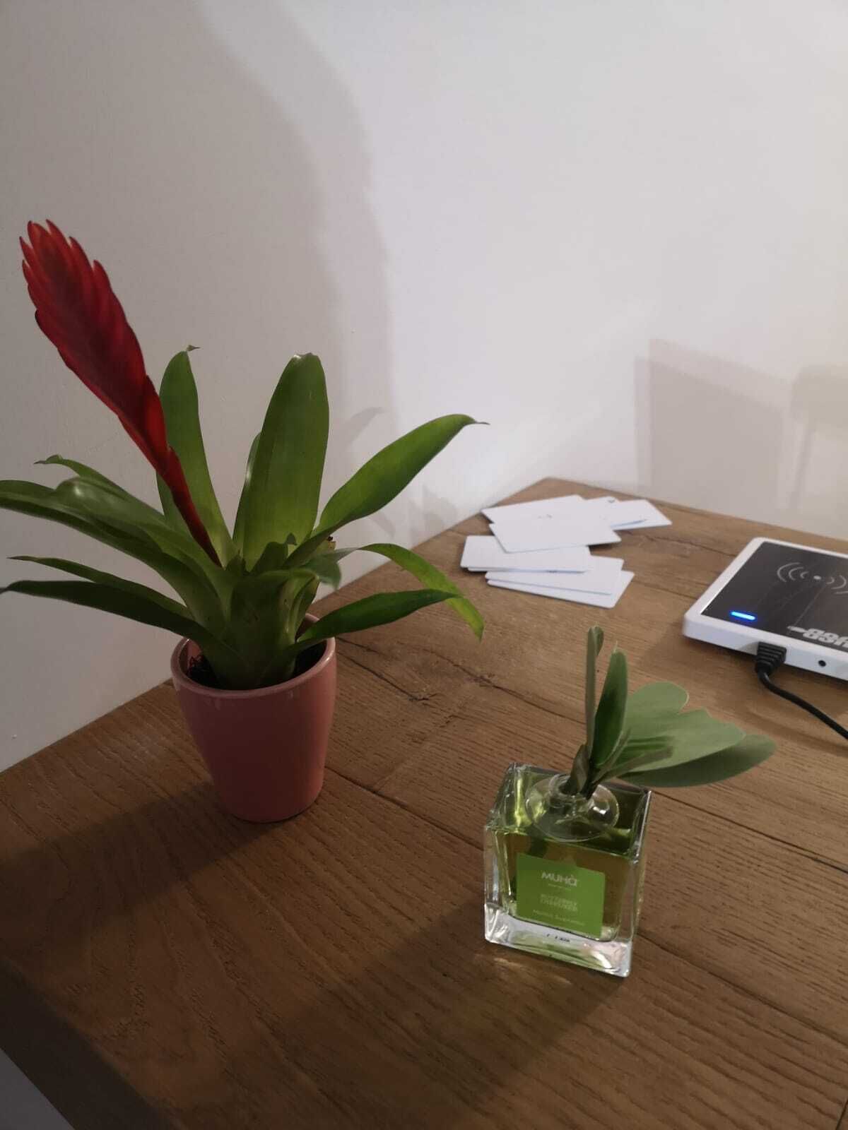 A wooden table with a potted plant, a small glass vase with a plant, and a tablet with a charging cable.