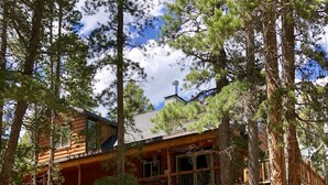 Une cabane avec une façade en bois, de grandes fenêtres et une terrasse.