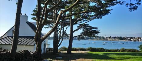 Overnatningsstedets område