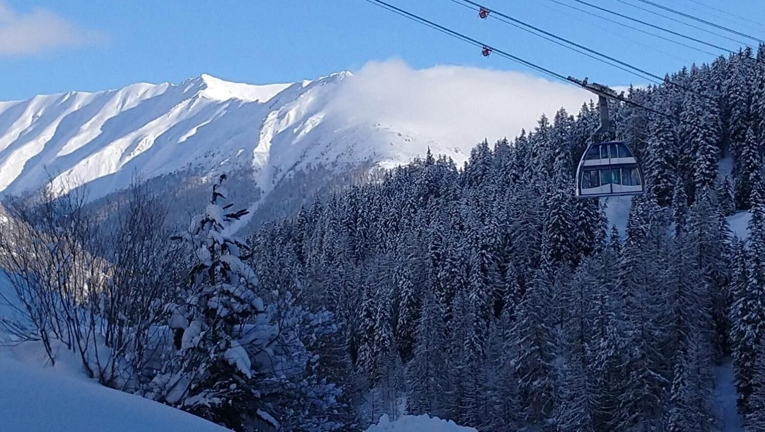 A snow-covered mountain with a ski lift and dense forest.