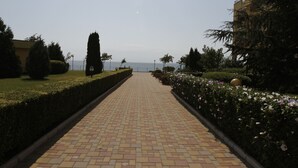 Vườn