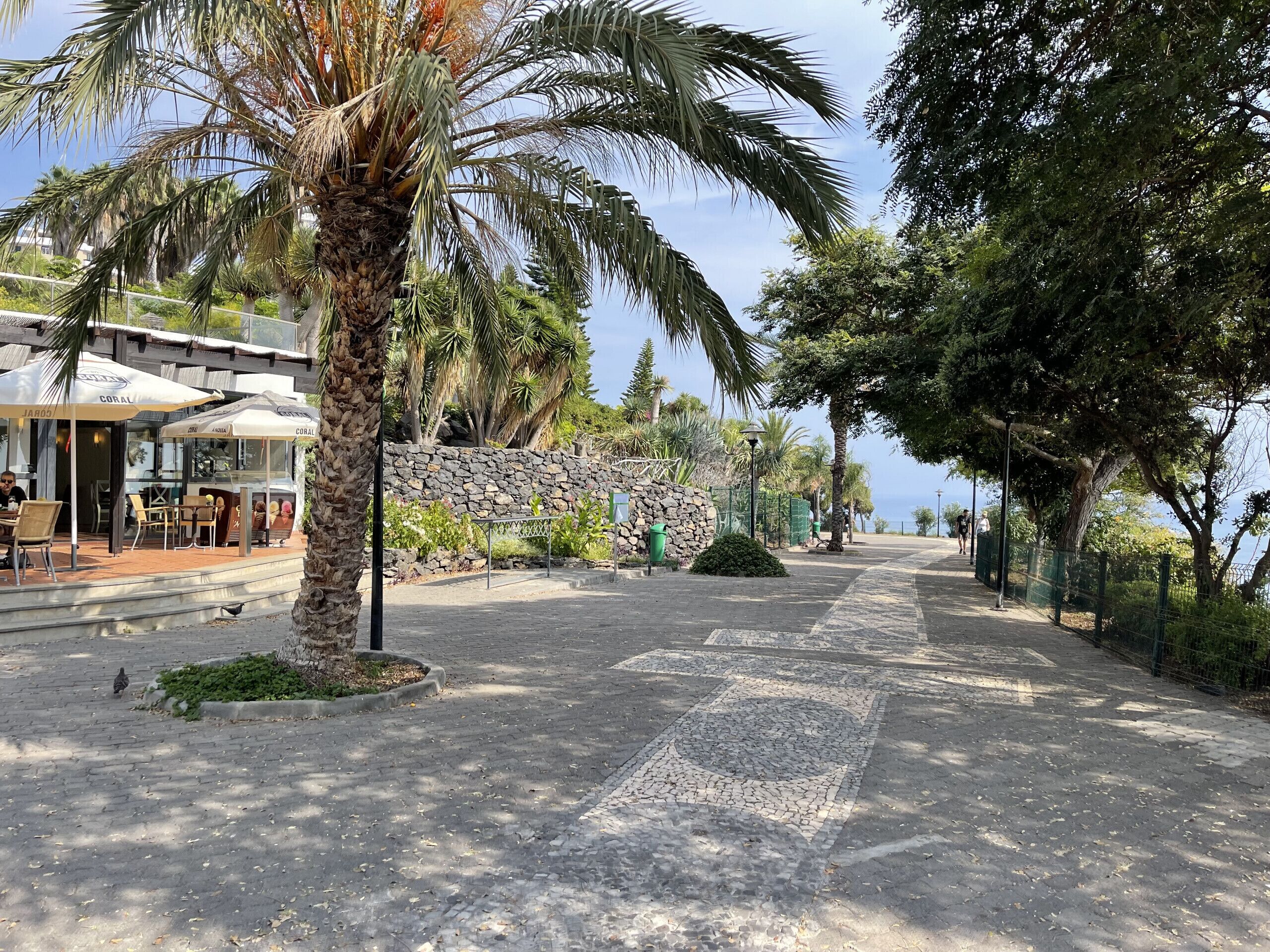 A paved walkway lined with palm trees and a stone wall, leading to a restaurant with outdoor seating.