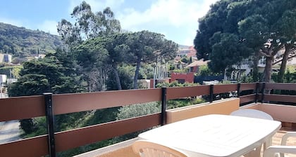 Port-Vendres : T2 avec terrasse et parking