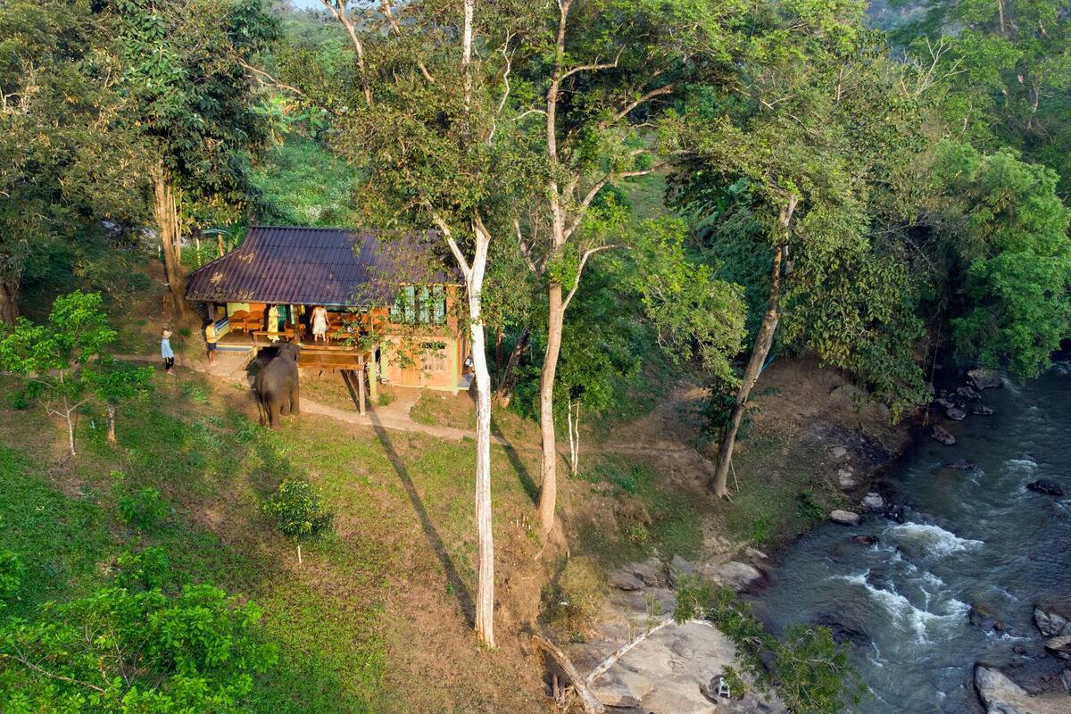 A rustic wooden cabin with a thatched roof, surrounded by lush greenery and a flowing river.