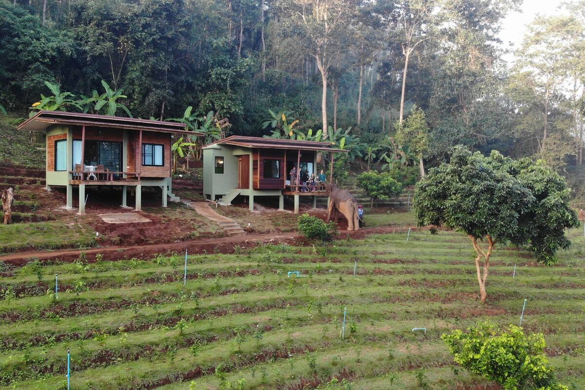 Two wooden houses with a porch, surrounded by terraced fields and dense forest.