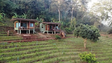 Dos casas de madera con porche, rodeadas de campos en terrazas y un bosque denso.