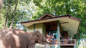 A wooden structure with a balcony, a large elephant in the foreground, and two people on the balcony. - Chiang Mai Elephant Friends (Mae Wang)