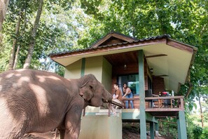 Tremannsrom – comfort | Wi-fi (inkludert) og sengetøy