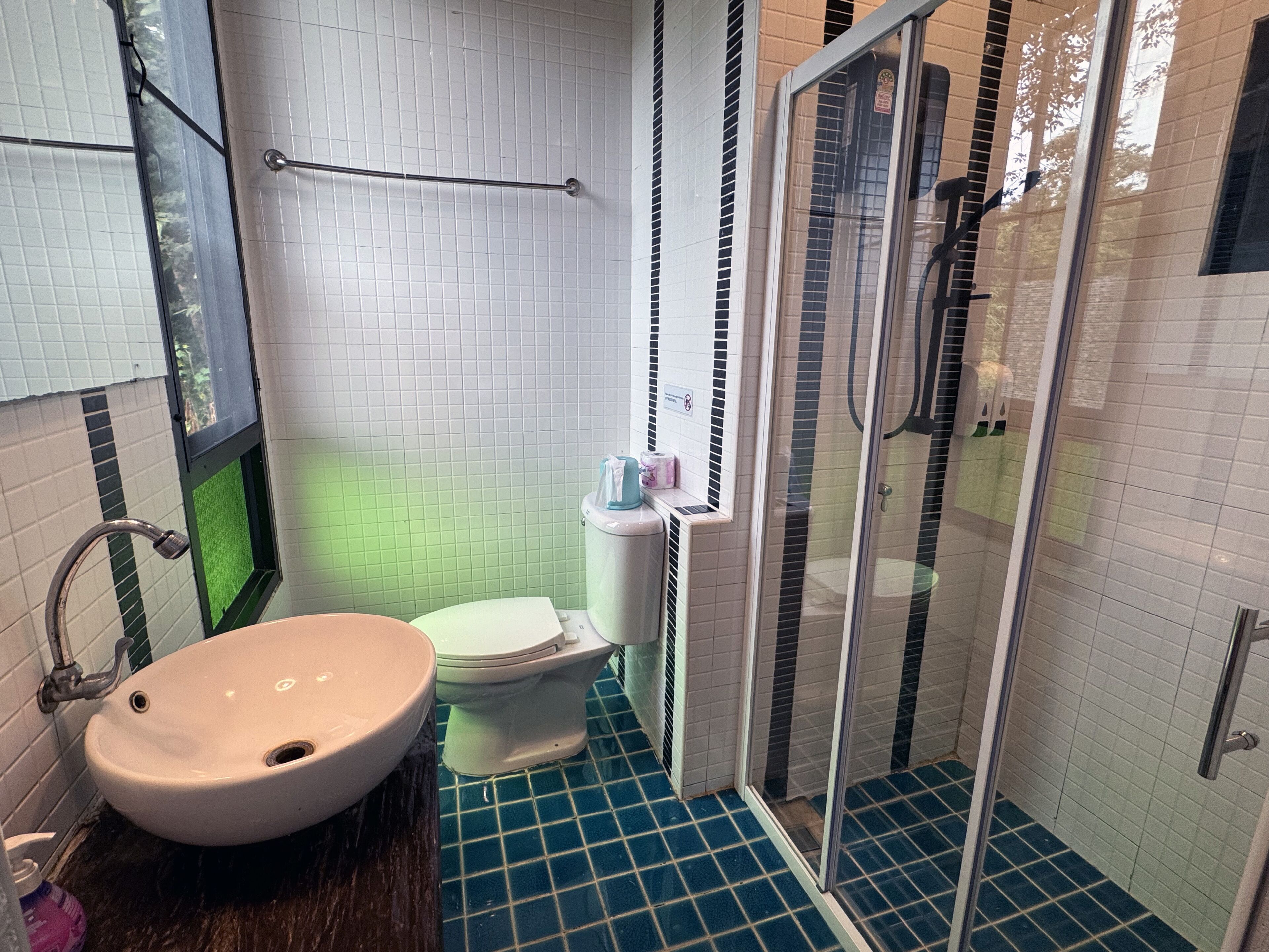 A bathroom with a white sink, a toilet, and a glass-enclosed shower area.