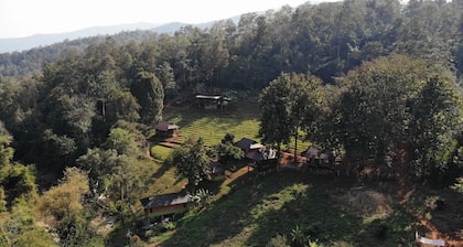 Chiang Mai Elephant Friends