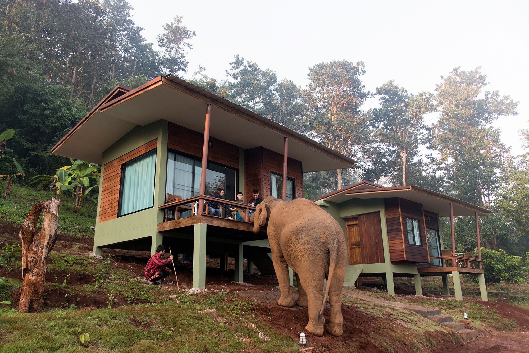 A two-story house with a balcony and a large elephant in front.