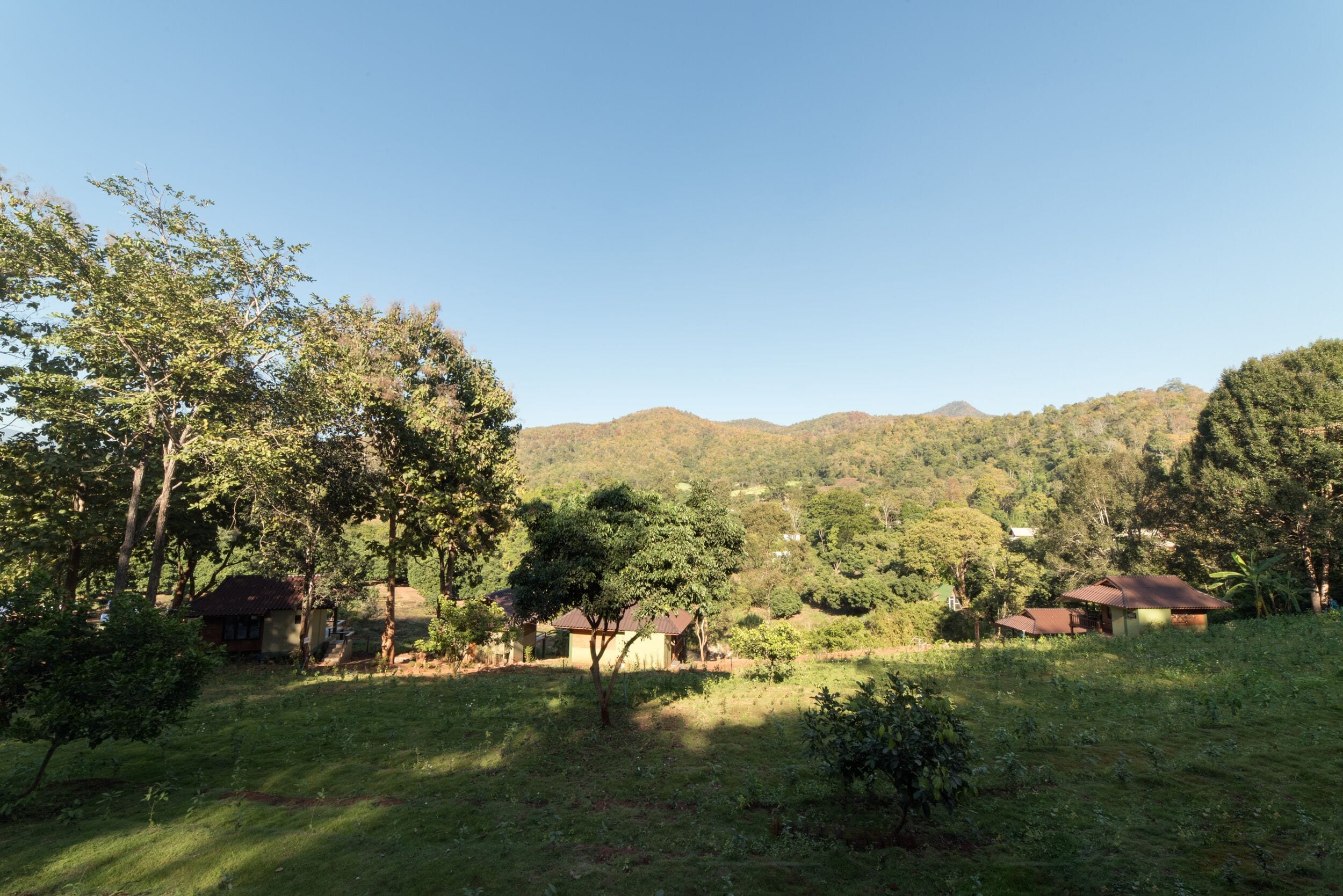 Un paisaje rural con un pequeño grupo de casas rodeado de árboles y colinas al fondo.