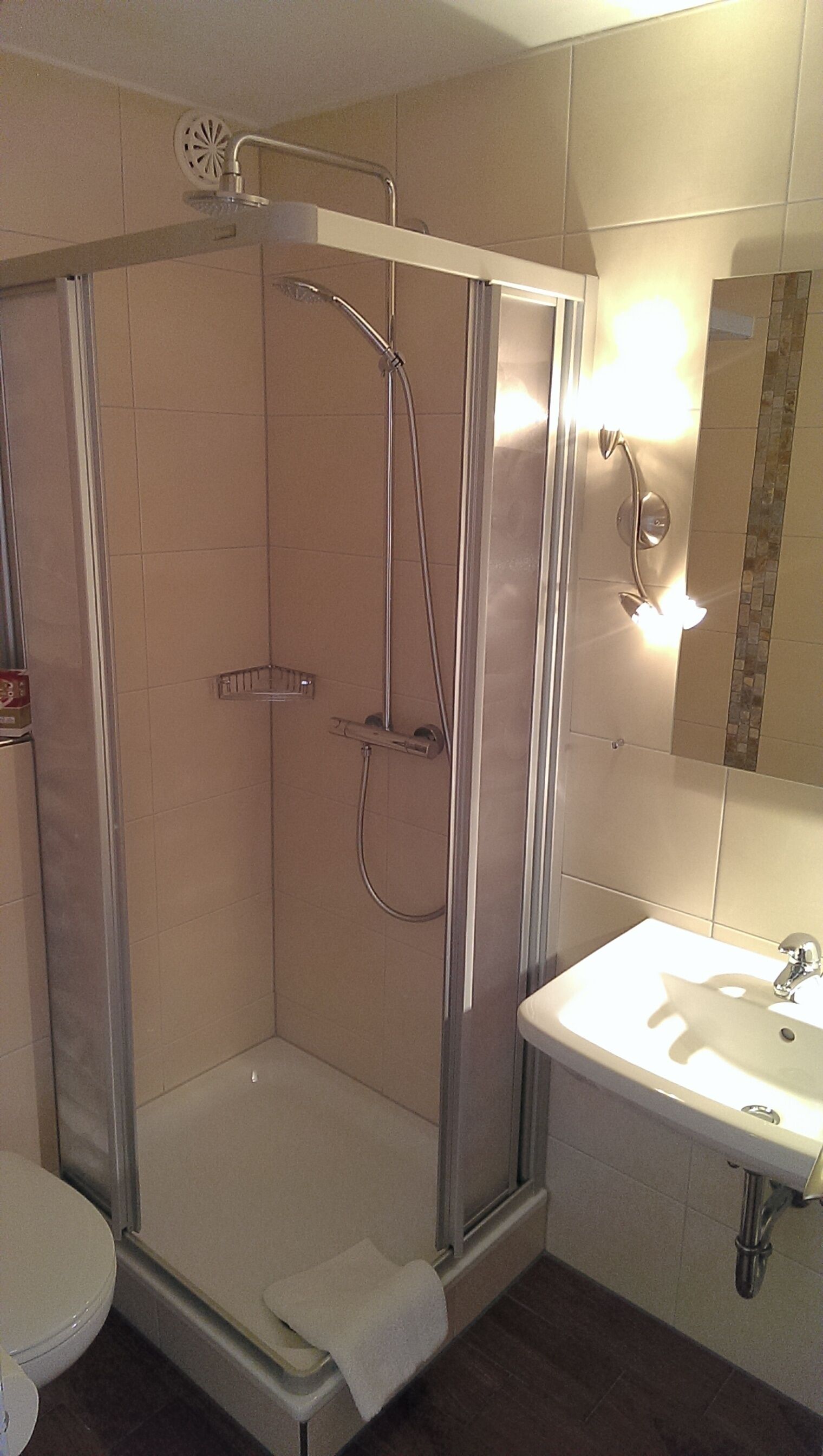 A bathroom with a glass-enclosed shower, a sink, and a toilet.