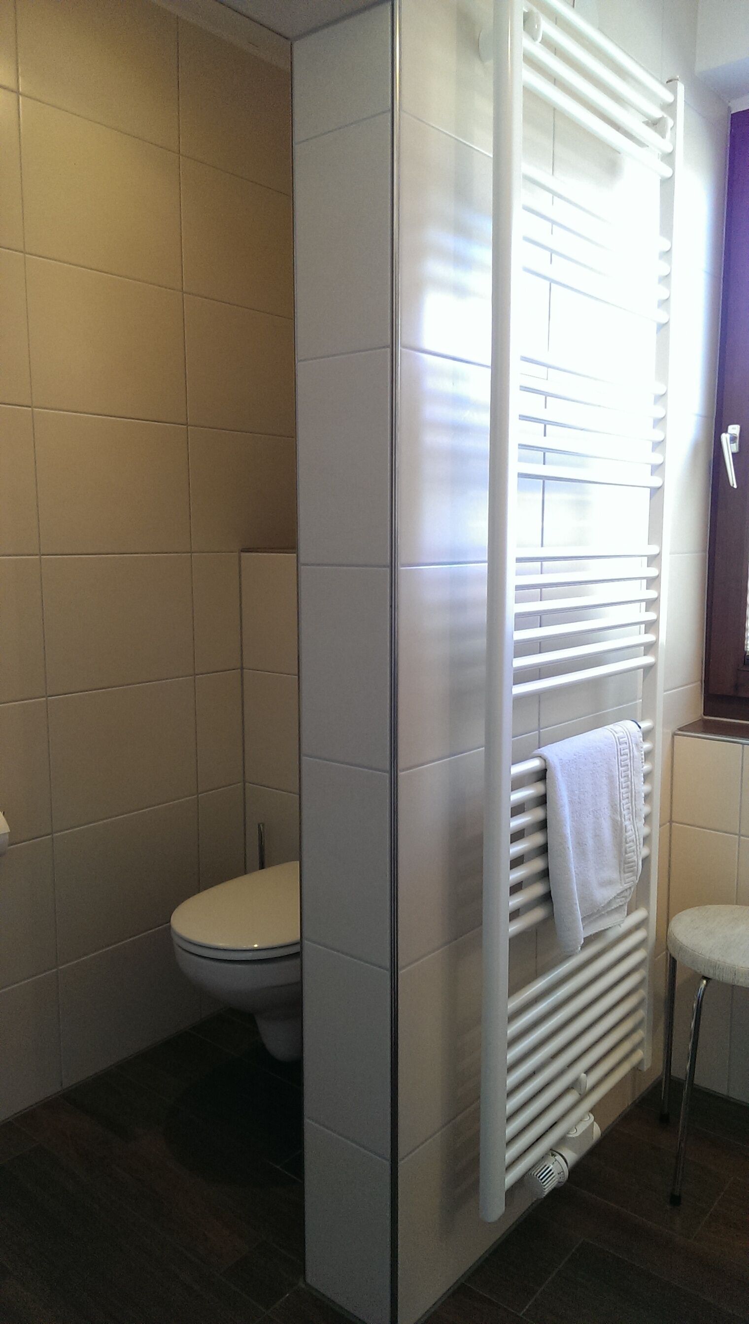 Ein Badezimmer mit Toilette, Handtuchhalter und Heizkörper.