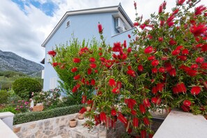 Fachada del alojamiento