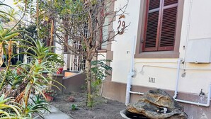 A garden with a variety of plants, a bird bath, and a building with a window and number 29. - Karibu Guesthouse (Cape Town)