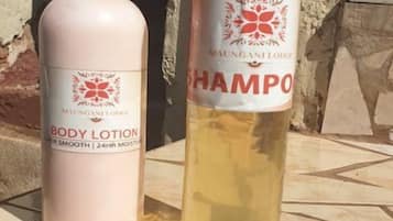 Shower, free toiletries, towels, soap