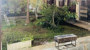 Un patio con un banco, un árbol decorativo y un edificio con ventanas de arco.
