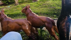 Un jardín con un farol, una valla de metal y una estatua de un caballo.