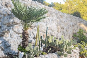 Garden - Apartments LLR (Orebic)