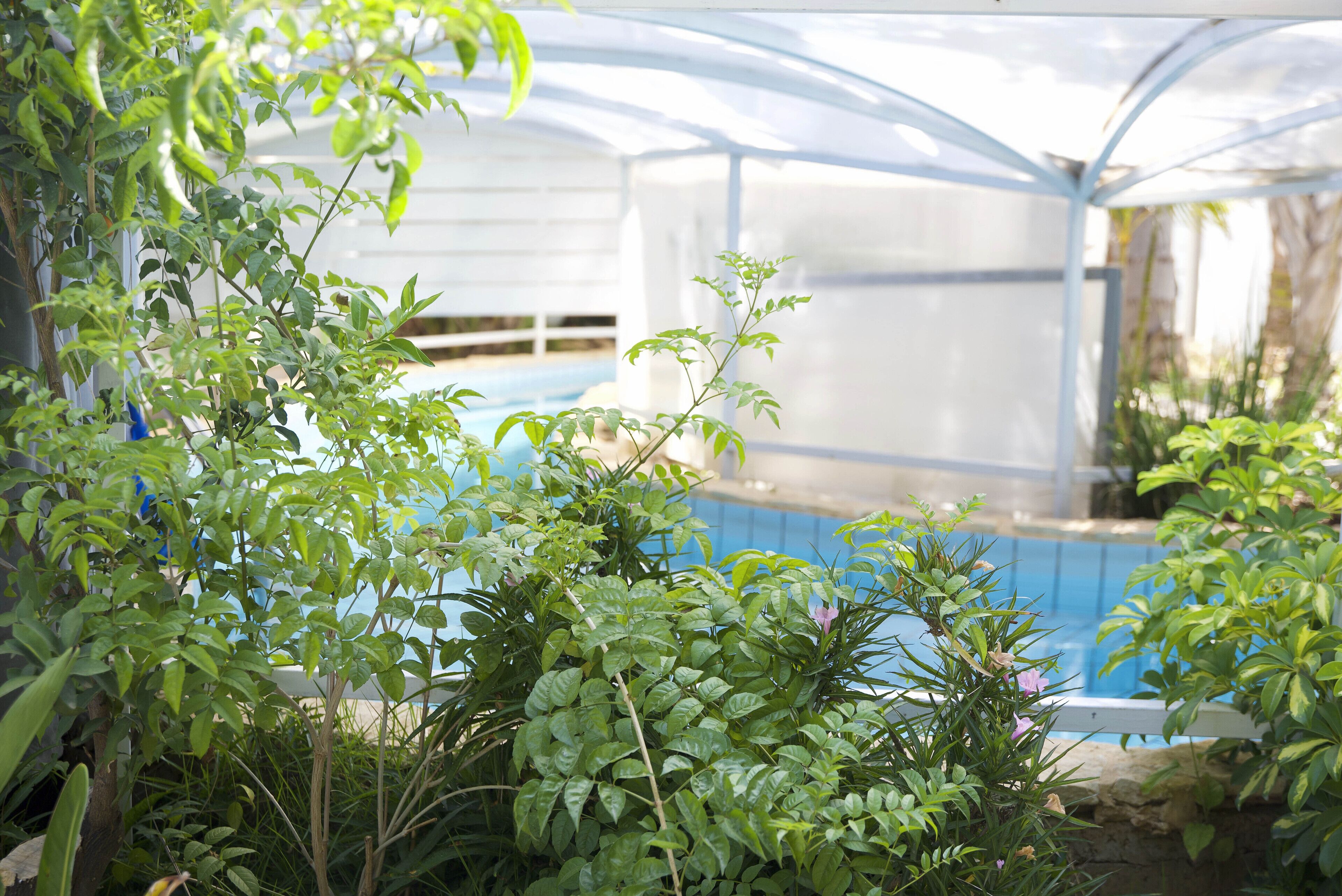 A greenhouse with a pool, surrounded by lush greenery.
