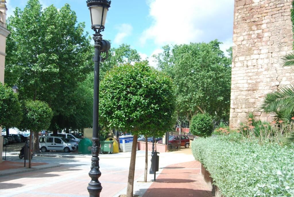 A paved pathway lined with trees and a lamp post.