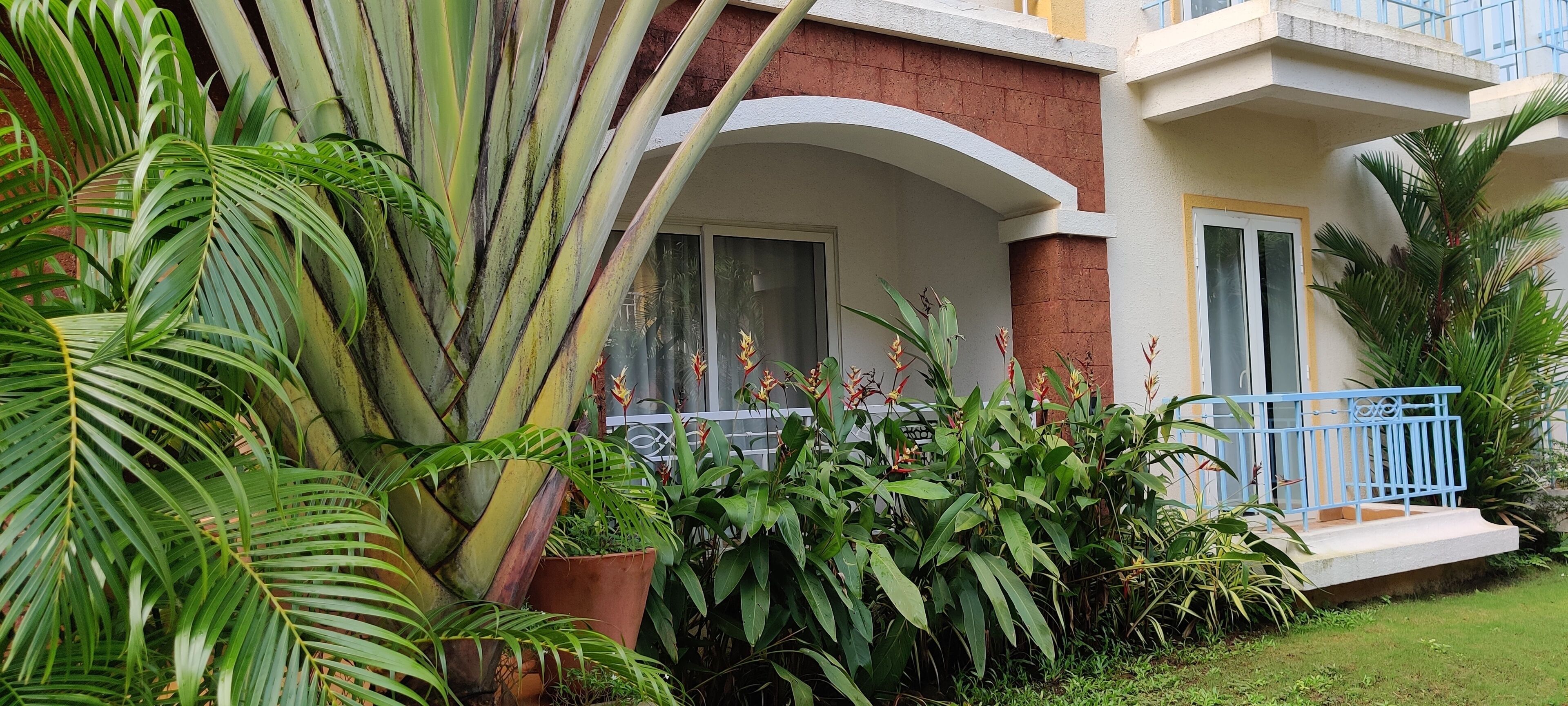 Foto - Passions de Goa