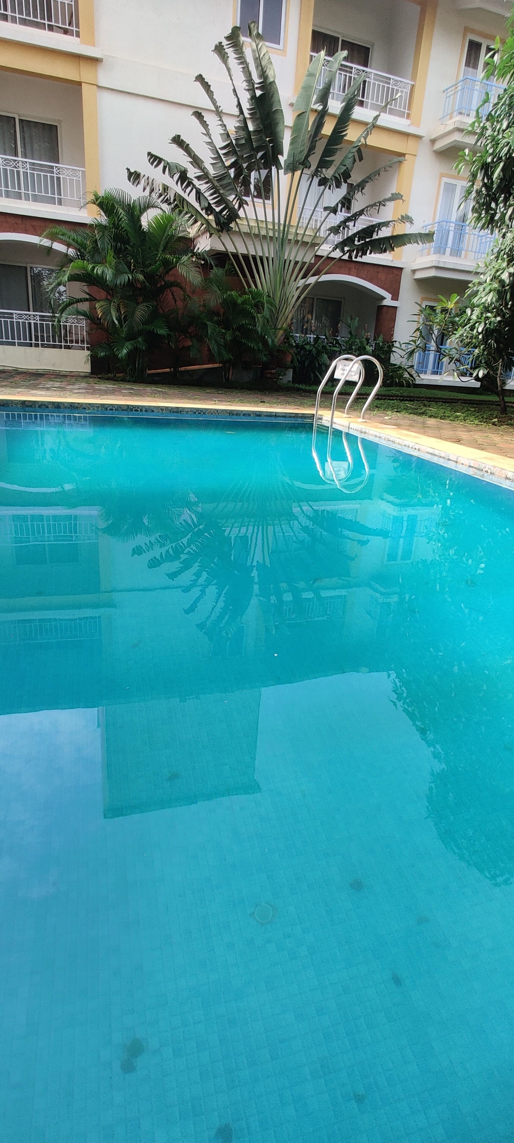 حمّام سباحة خارجي