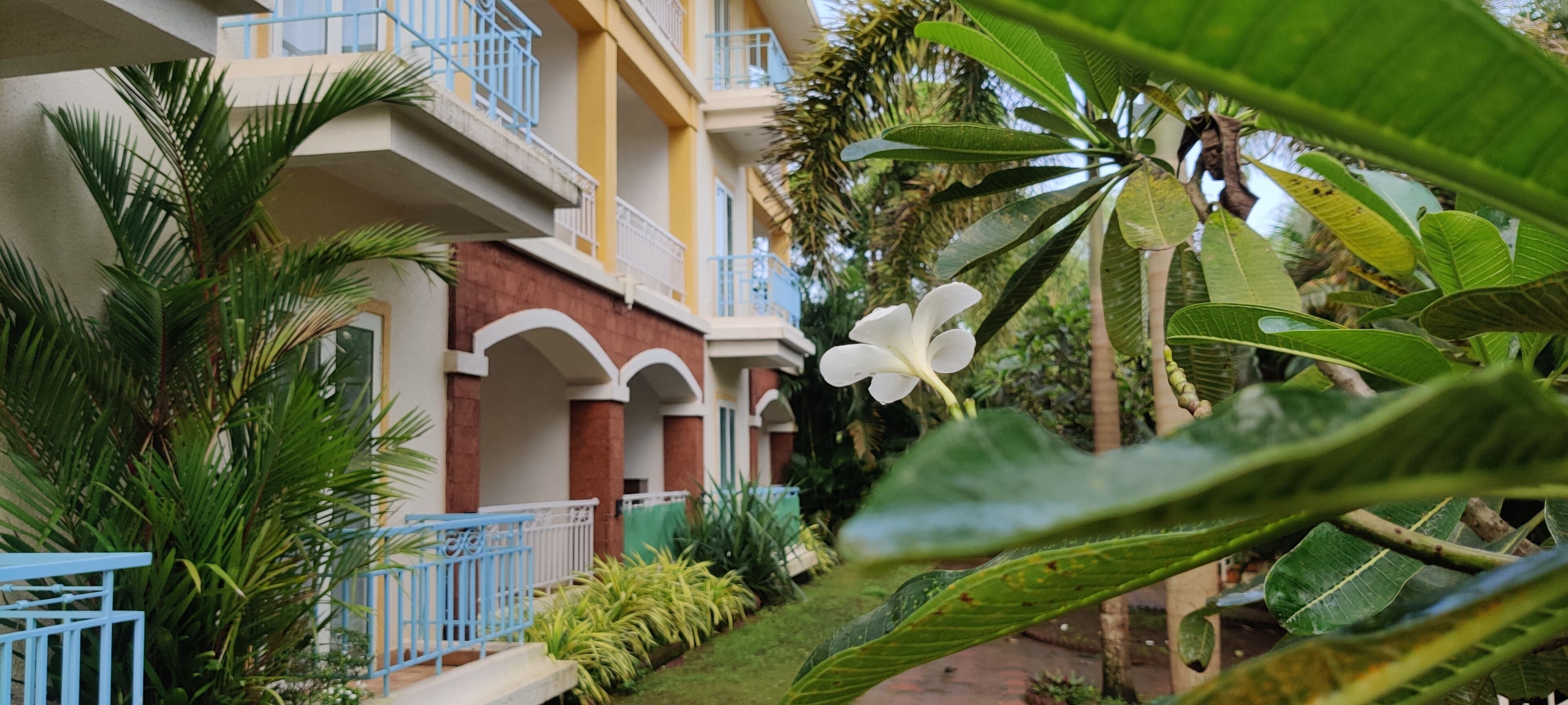 Foto - Passions de Goa